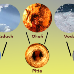 dhosa-ajurveda-4